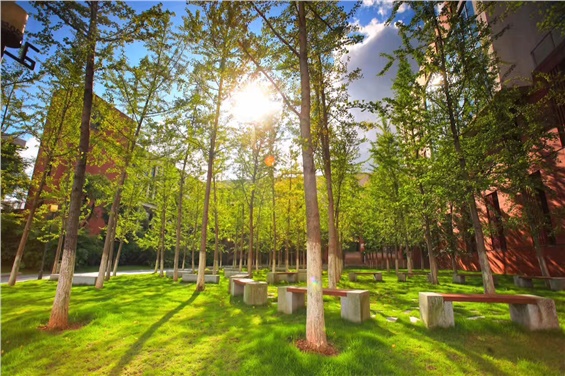 擼起袖子加油干！